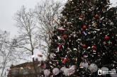 In Mykolaiv, the main city Christmas tree was officially unveiled (photo report).