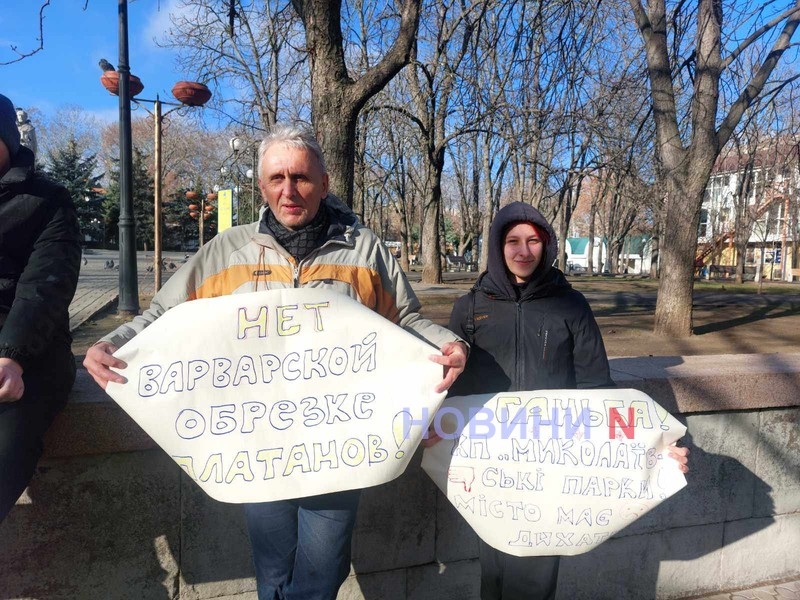 В Николаеве горожане вышли на главную улицу защищать платаны (фото)