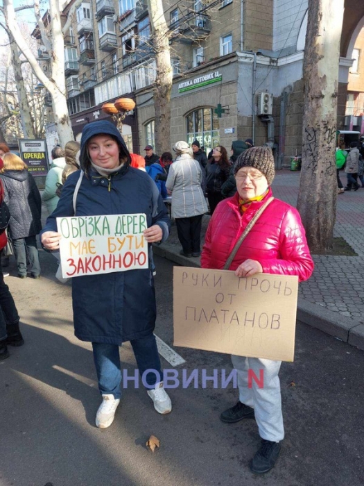 В Николаеве горожане вышли на главную улицу защищать платаны (фото)