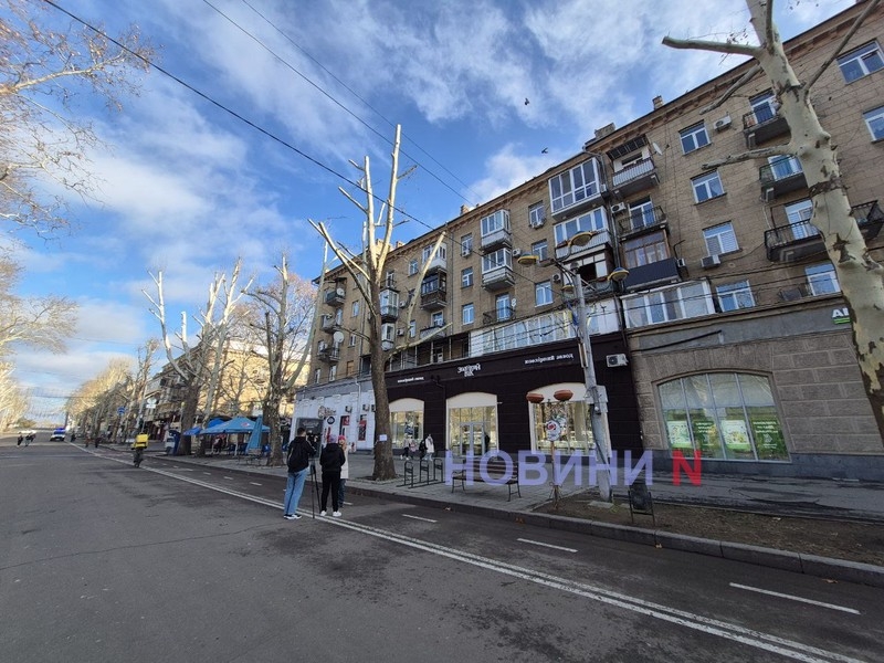 В Николаеве горожане вышли на главную улицу защищать платаны (фото)